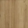 Дъб Ривиера 3D